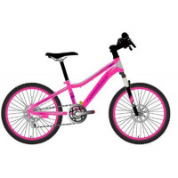 Подростковый велосипед Nameless 20" S2200DW, розовый/серый, 12" Подростковый велосипед Nameless 20" S2200DW, розовый/серый, 12"